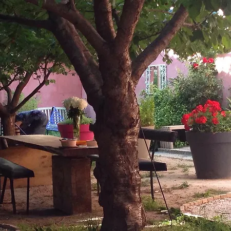 Bnb Jardin Vieux Port Panier Konukevi
