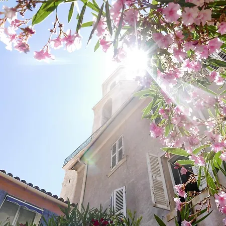 Konukevi Bnb Jardin Vieux Port Panier *