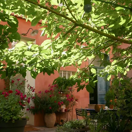 Konukevi Bnb Jardin Vieux Port Panier *