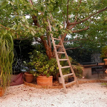Bnb Jardin Vieux Port Panier *
