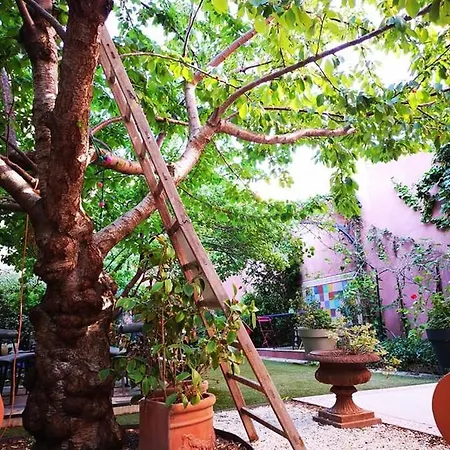 Konukevi Bnb Jardin Vieux Port Panier
