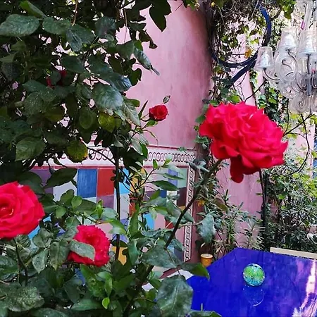 Bnb Jardin Vieux Port Panier Marsilya